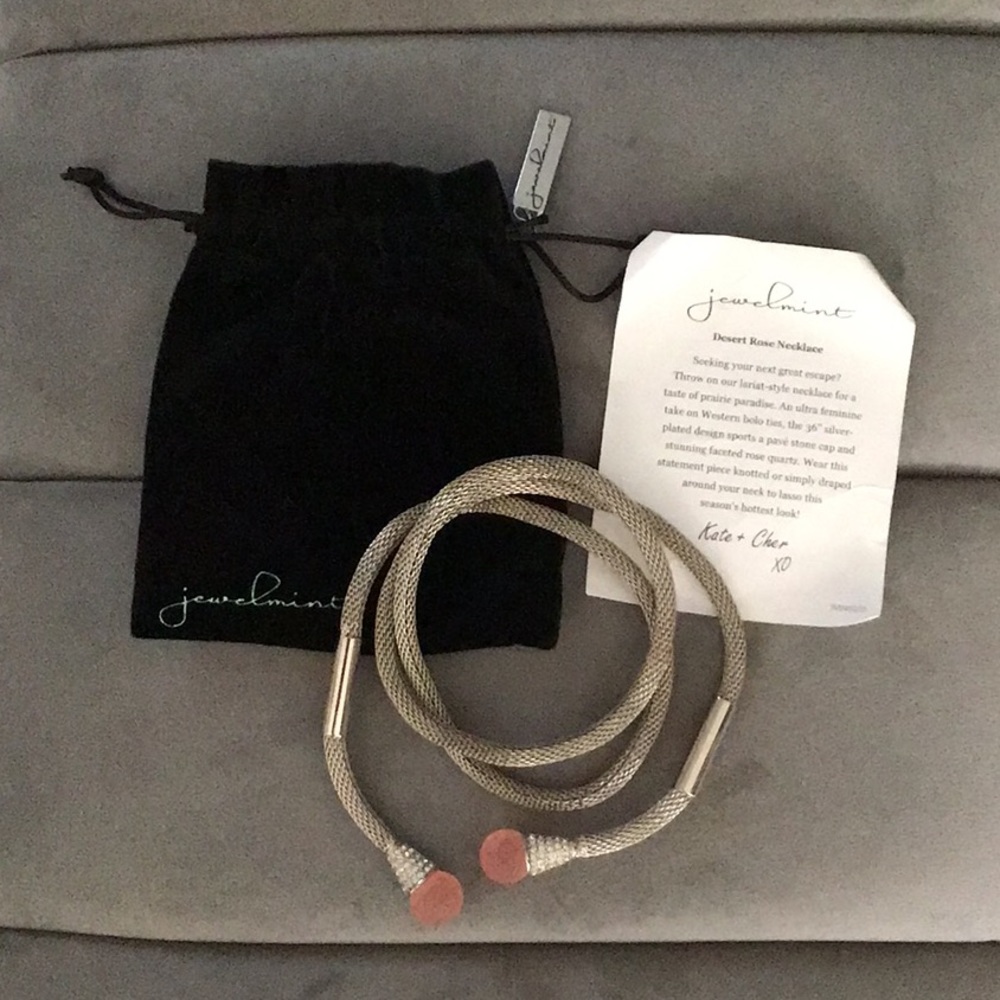 Jewelmint Lariat Necklace